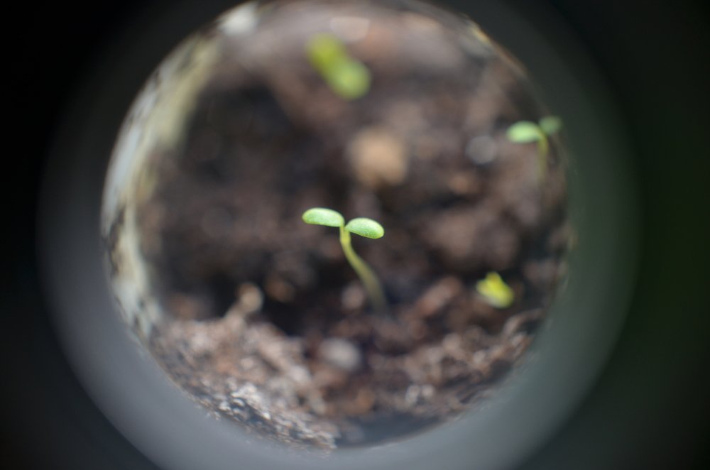 Фотография автора Богдан Петров