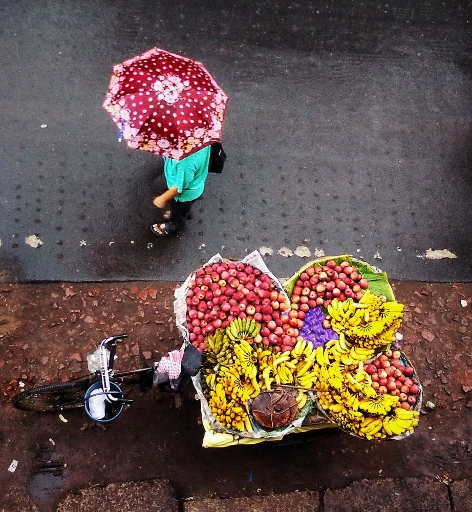 Photo #4078914