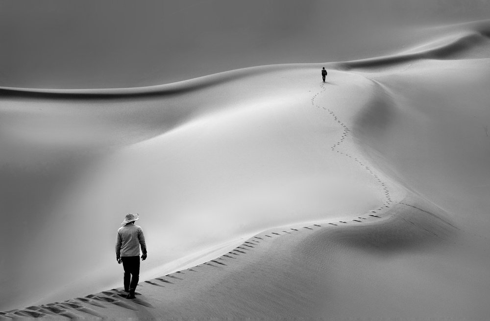 Photograph by Mina Yazdani rad