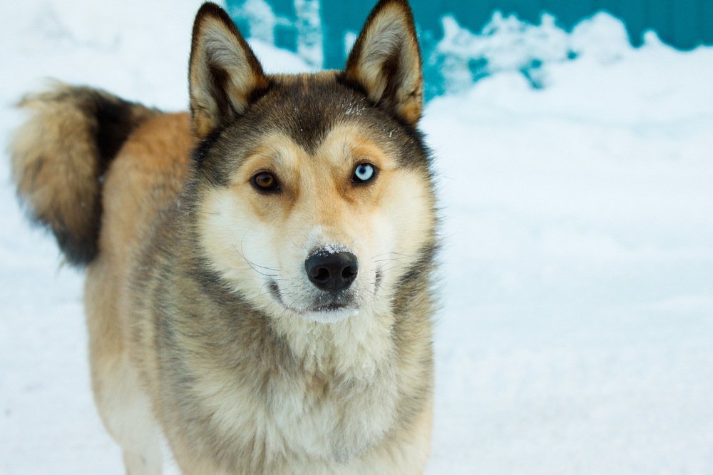 Photograph by Эльза Юнусова