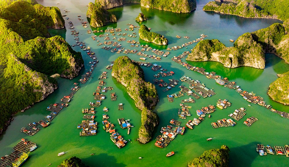 Photograph by Viet Linh Tran