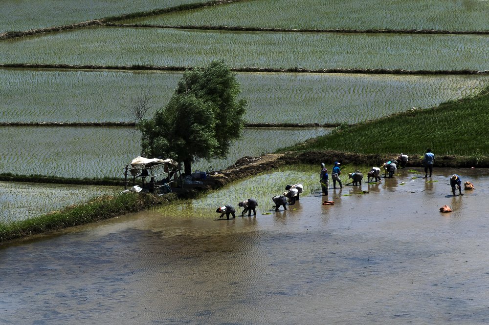 Photograph by Mina Yazdani rad