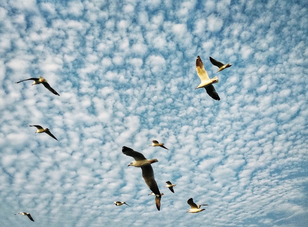 Photograph by Mehejabin Akther Srabony