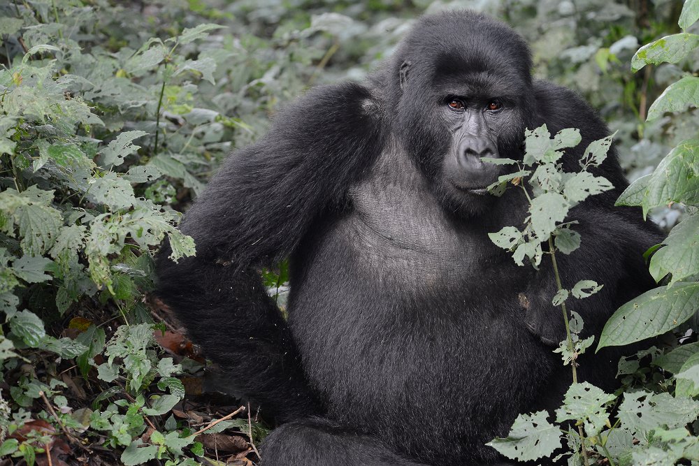 Photograph by Алексей Романов