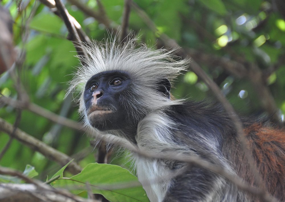 Photograph by Алексей Романов