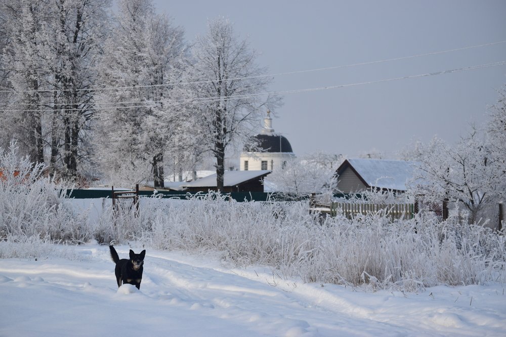 Photograph by Марина Колпакова