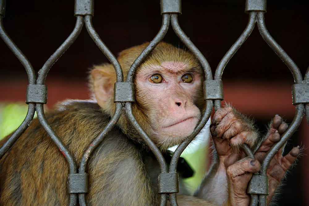 Photograph by  MD DIDARUL ALAM CHY