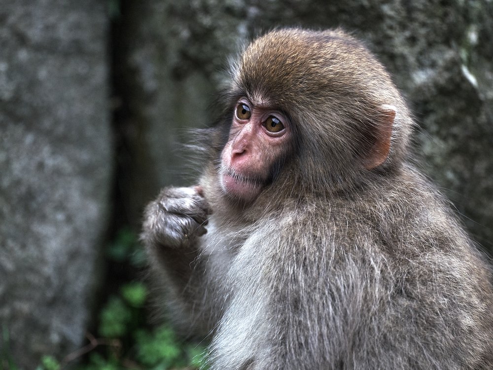 Photograph by Michael Epel