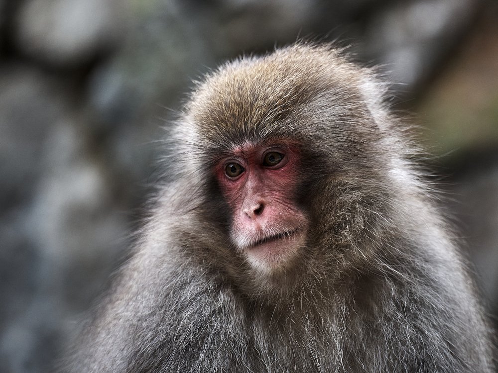 Photograph by Michael Epel