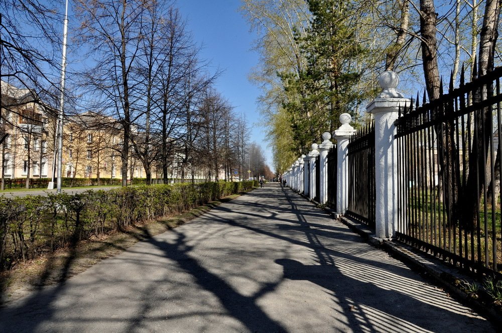 Photograph by НИНА АВЕРЬЯНОВА