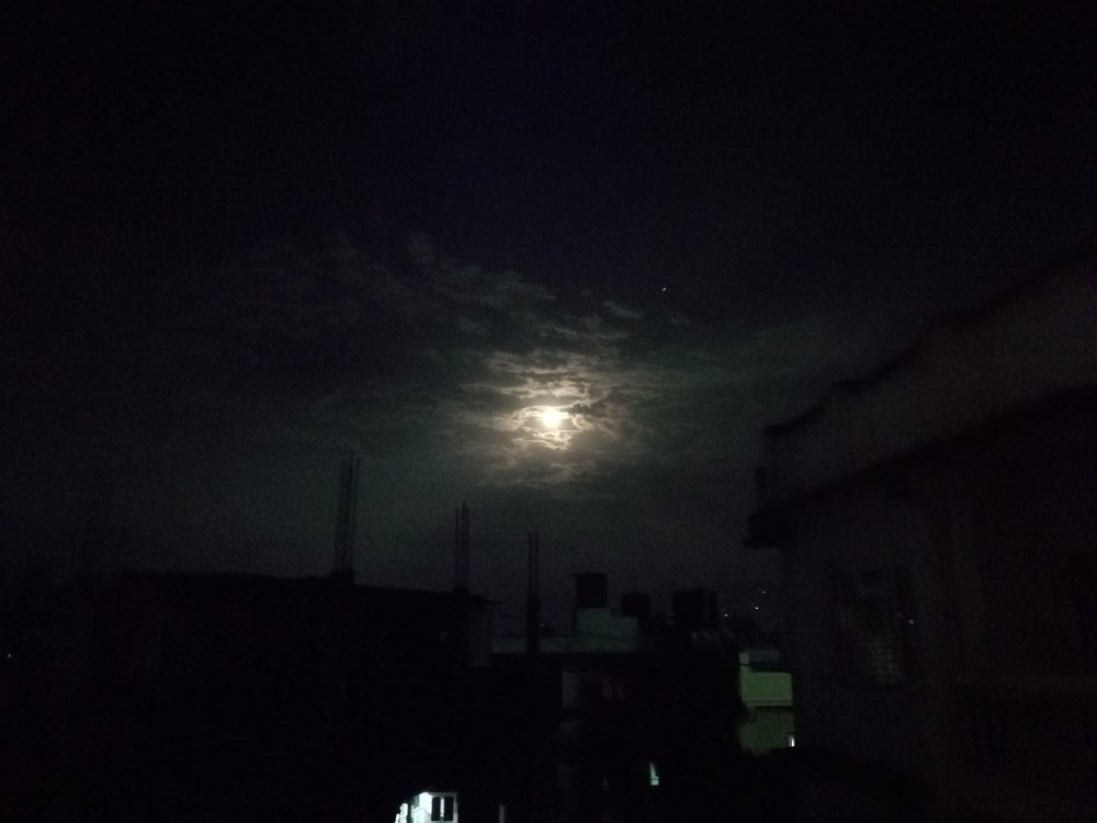 Photo #4079563