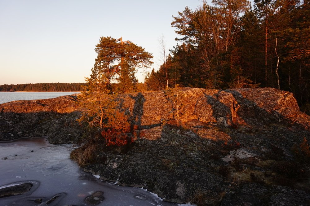 Photograph by нина кутчиева