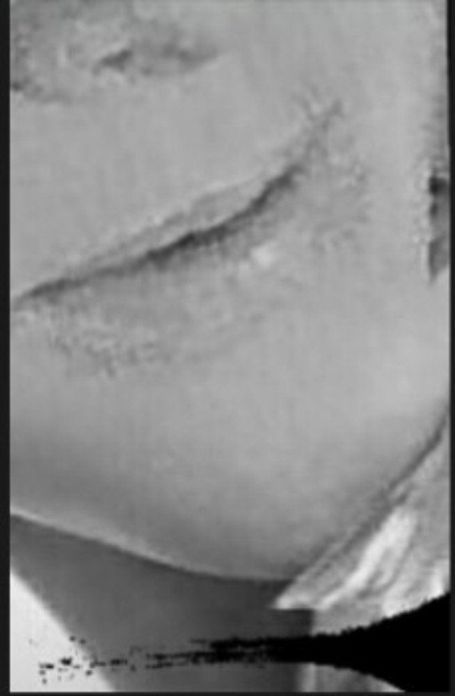 Фотография автора Светлана Стецова