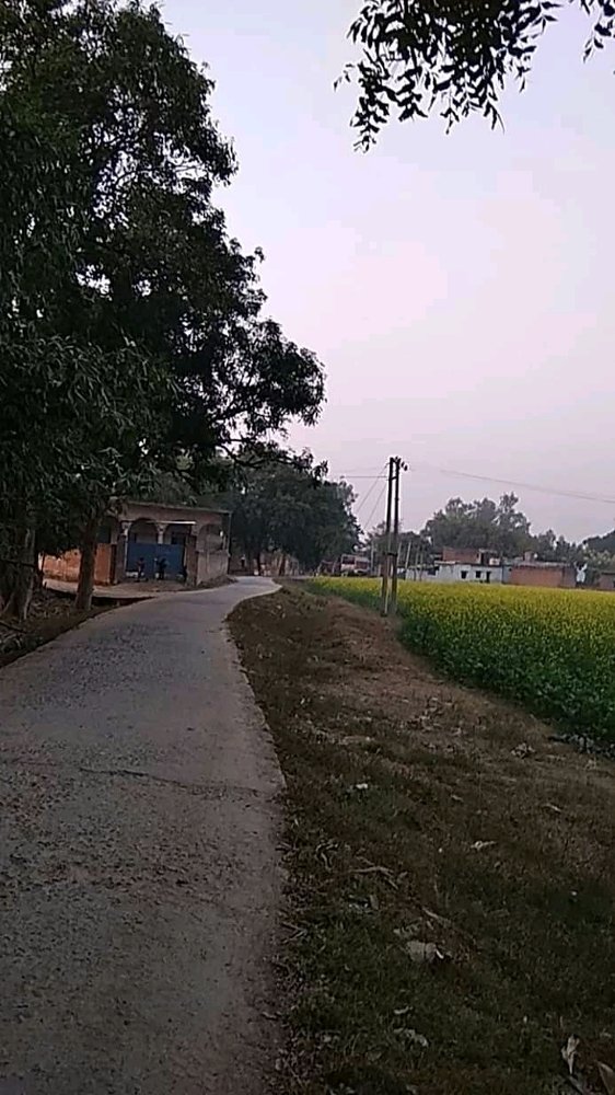 Photograph by Rukhsar Ahmad