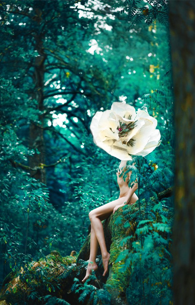 Photograph by Юлия Денишева