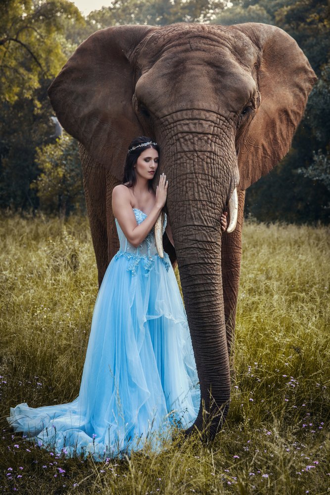 Photograph by Theresa Sujata Senti