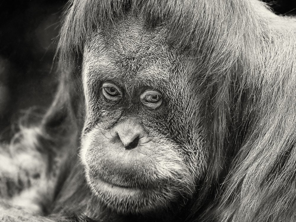 Фотография автора Петр Богомазов