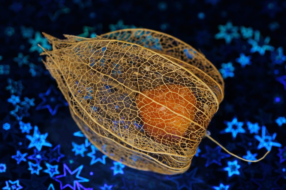 Photograph by Мадина Дзарасова