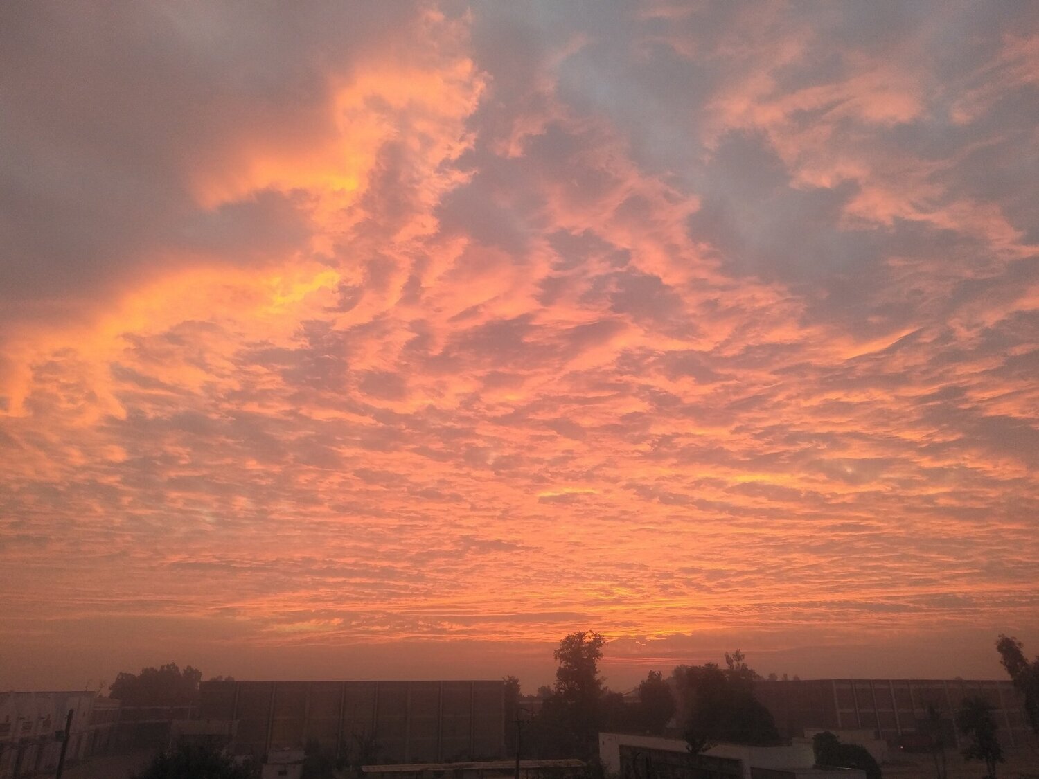 Photo #4079787