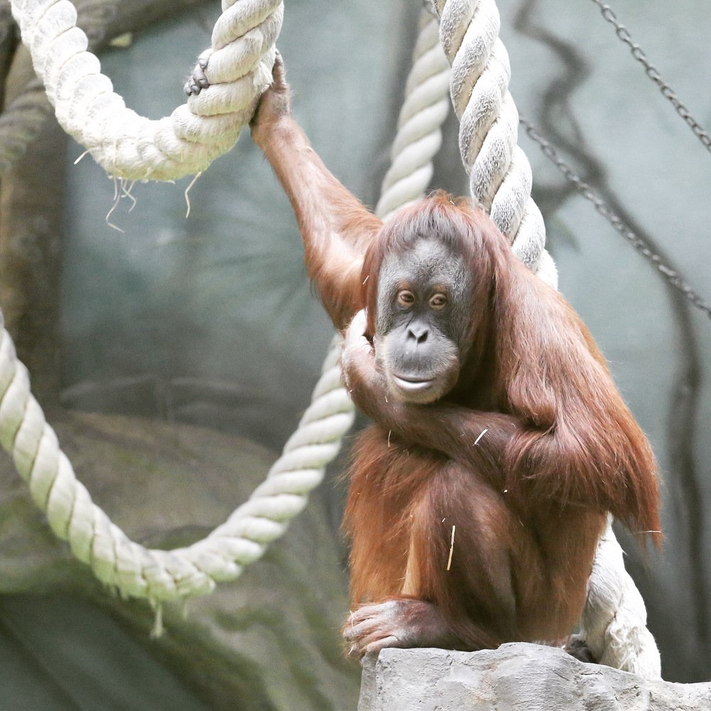 Photograph by  Михаил