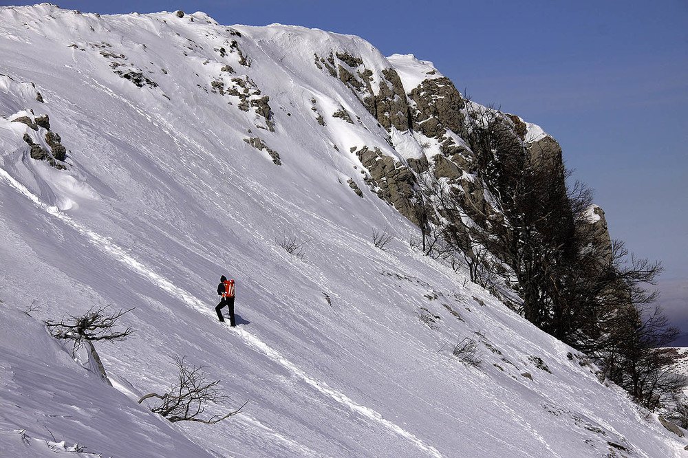 Photograph by Михаил Баевский