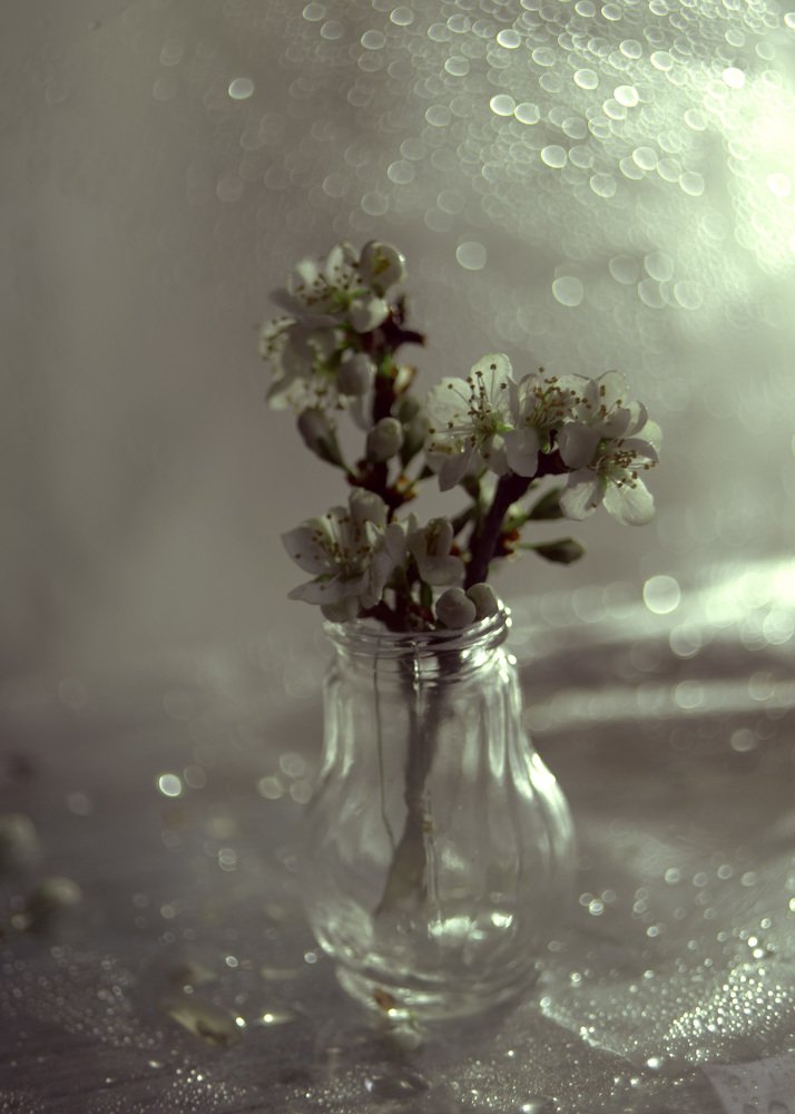 Photograph by Елена Вапняр