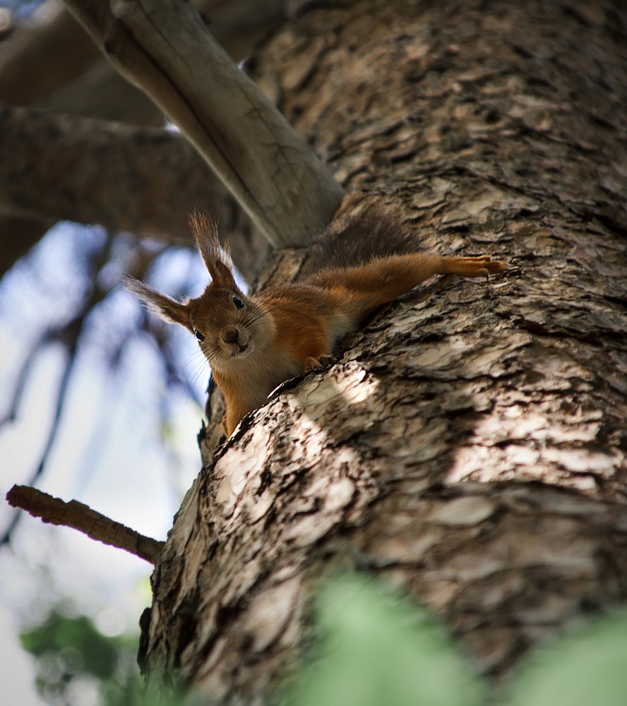 Photograph by Анна