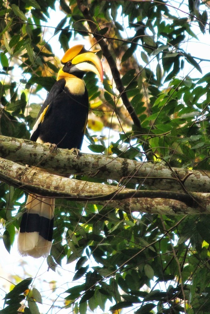 Photograph by Madhusudhanan Nair