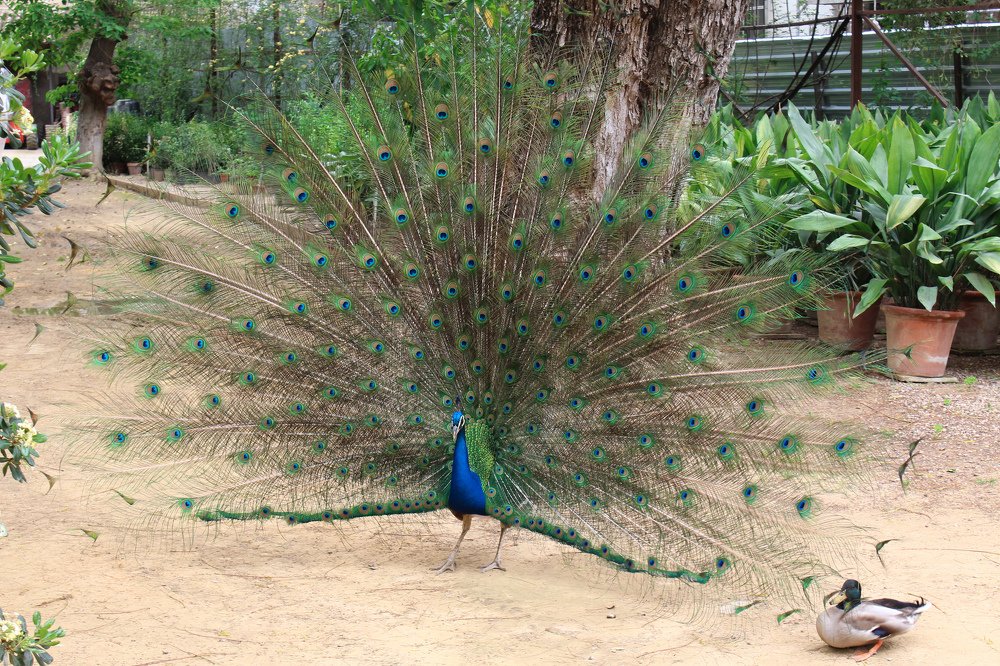 Photograph by Анна