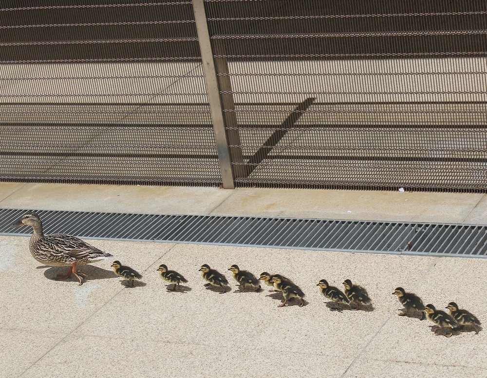 Photograph by Анна