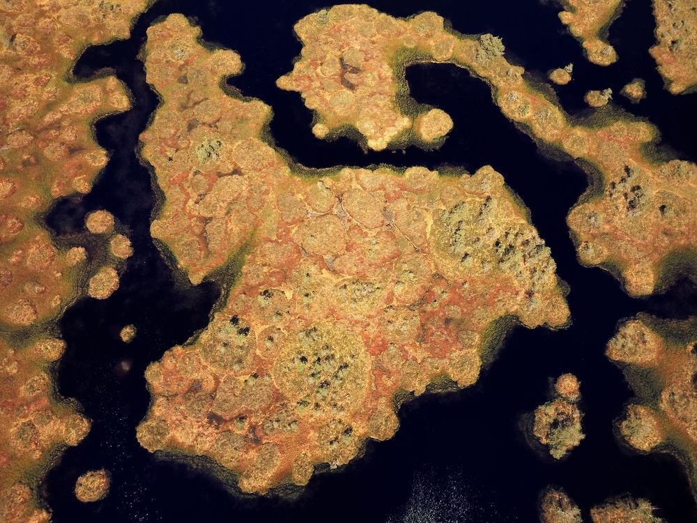 Photograph by Юлия Абрамова