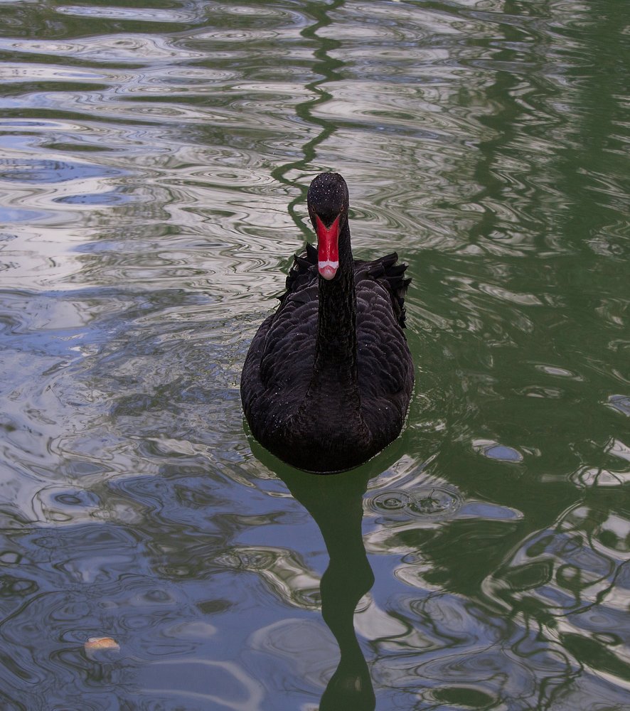 Photograph by Анна