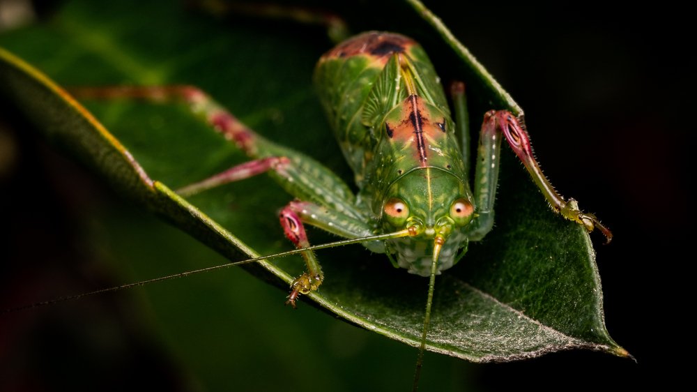 Photograph by Nestor Monsalve