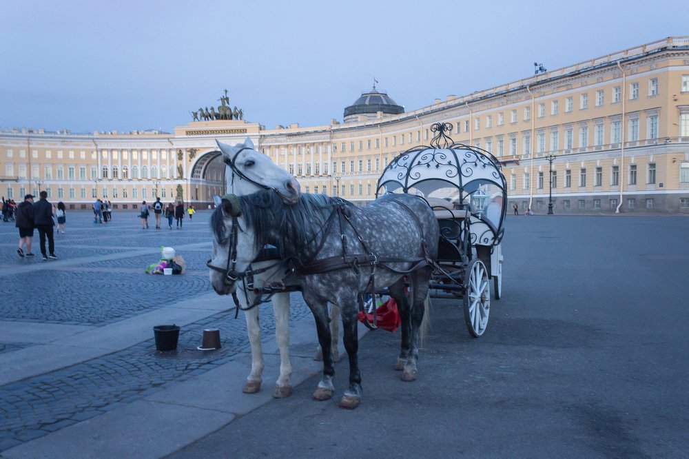 The best support is a very dear friends!