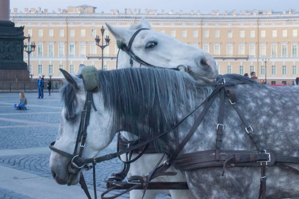 Photograph by Светлана Корнелюк