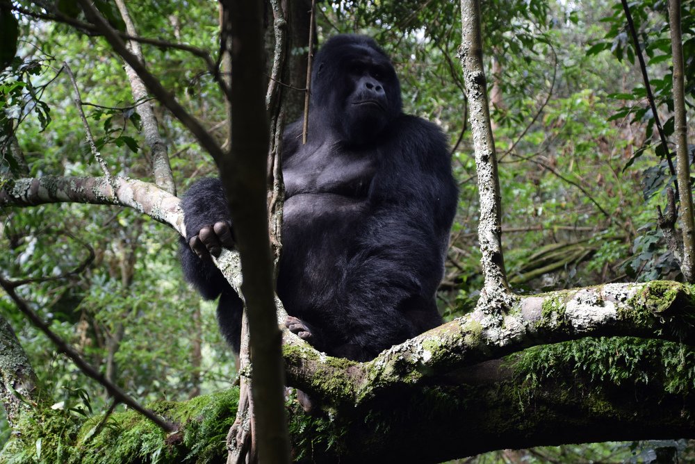 Photograph by Надежда Дорошенко