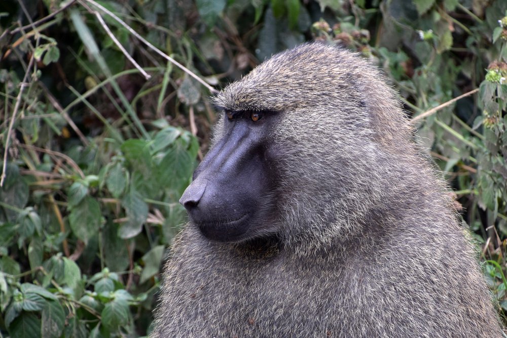 Photograph by Надежда Дорошенко