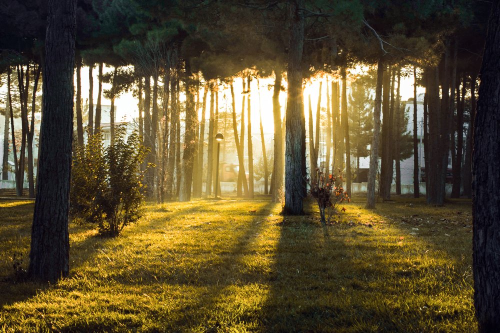 Фотография автора mahdi Yousefi