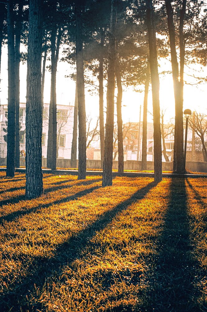 Фотография автора mahdi Yousefi