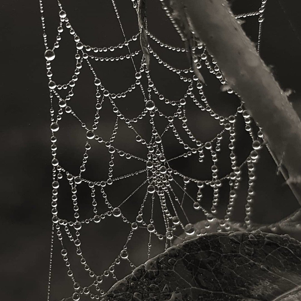 Photograph by Хачик Аджатян