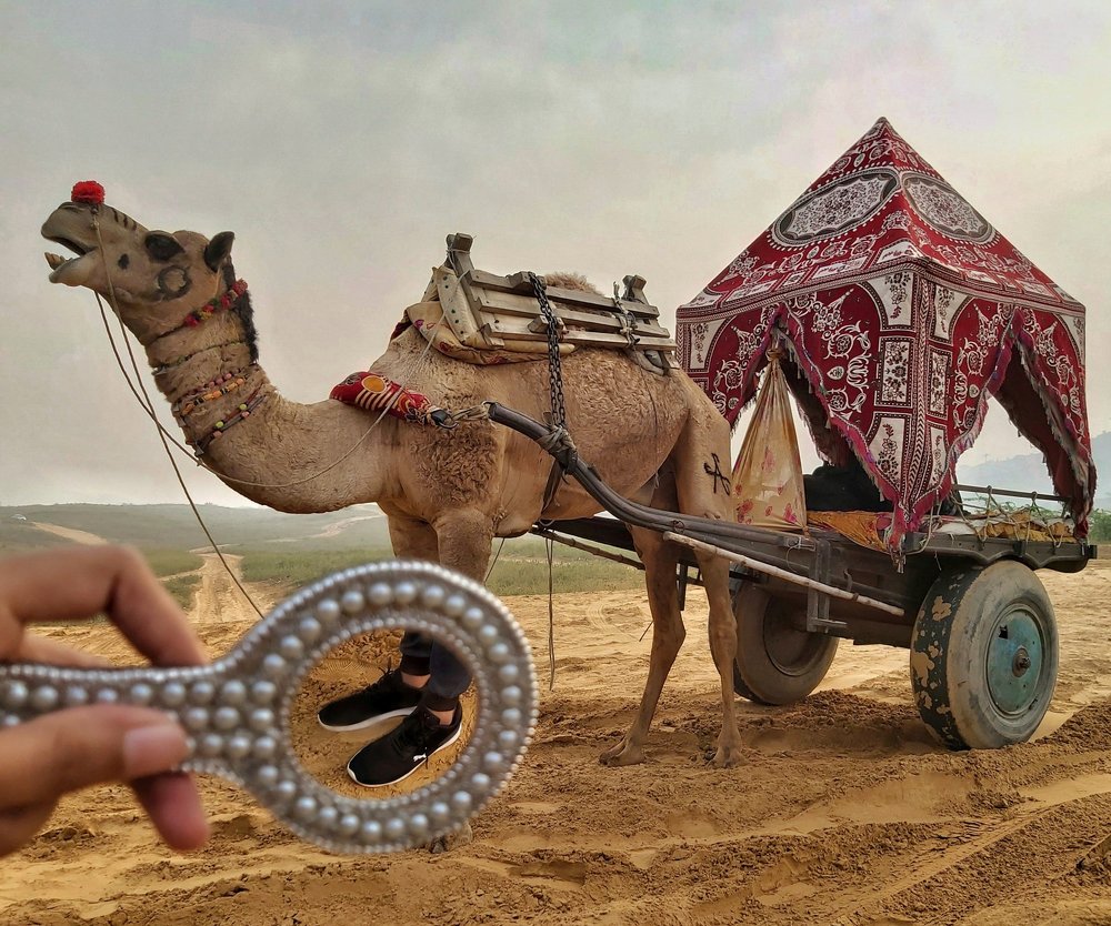 Photograph by Tanya Narayan