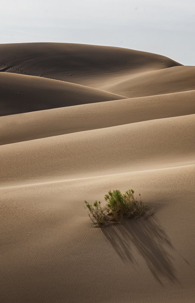 Photograph by Farhad Hamrah