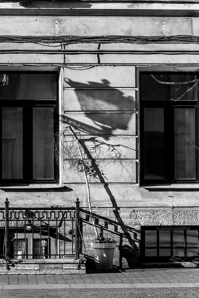 Photograph by Чистякова Валерия