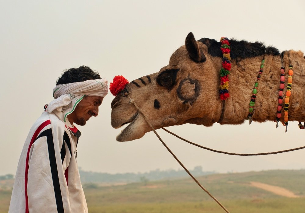 Photograph by Tanya Narayan