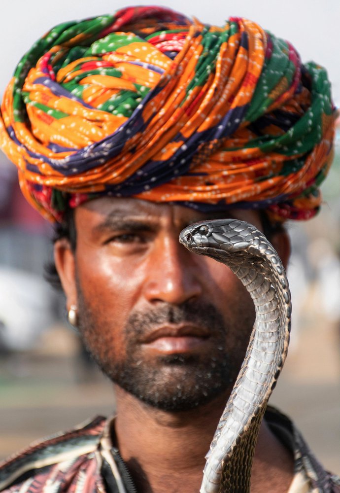 Photograph by Tanya Narayan