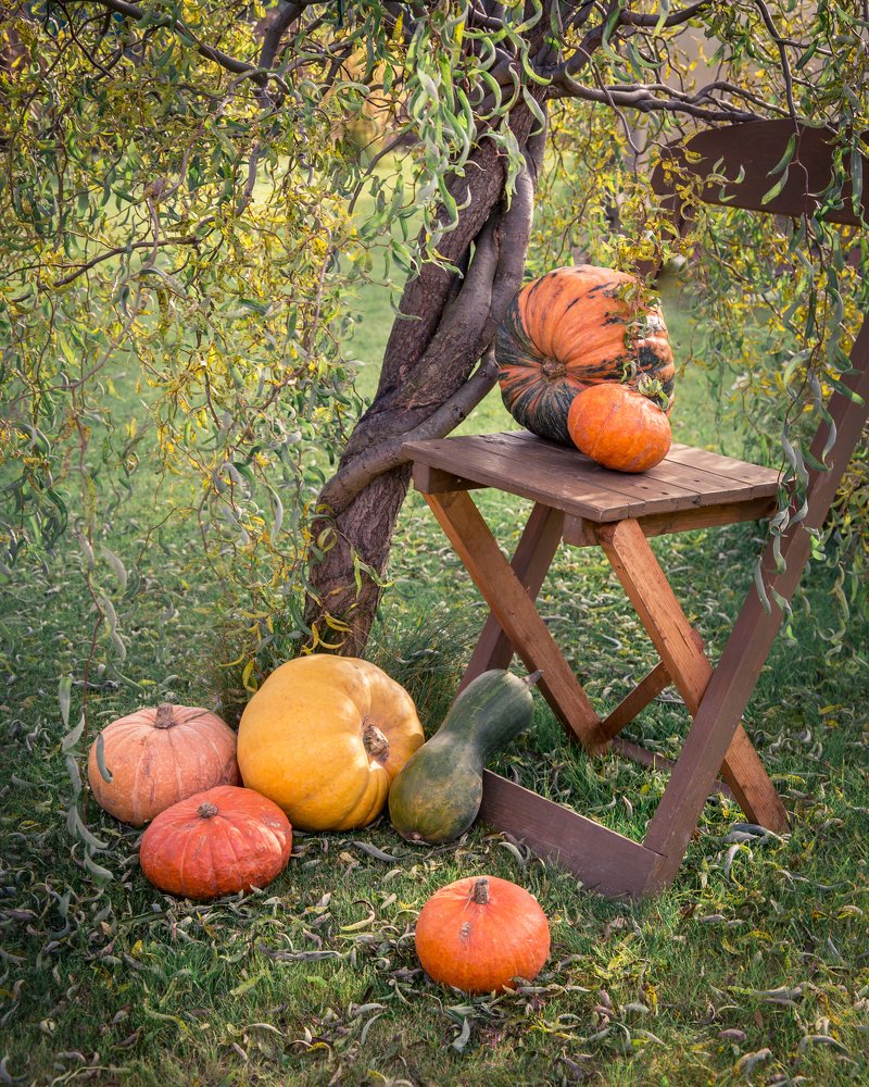 Photograph by Екатерина Родченкова