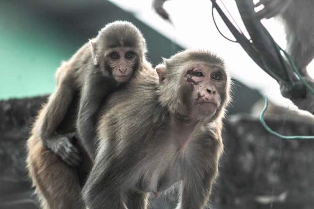 Photograph by Tanya Narayan