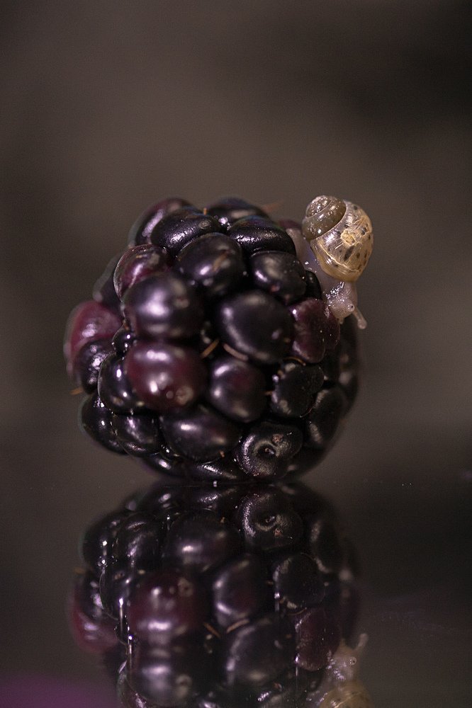 Photograph by Екатерина Вивюрская