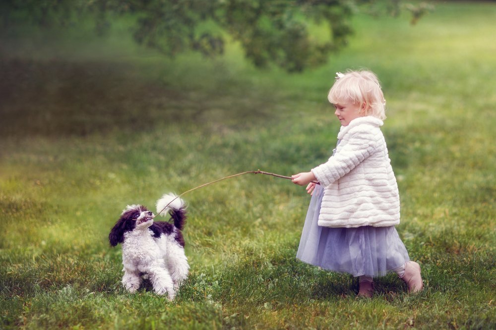 Photograph by Татьяна Пронина