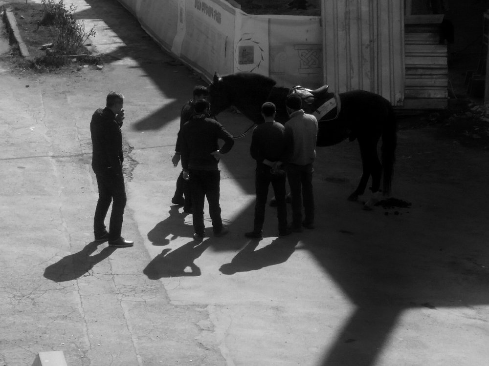 Photograph by Марина Рафаелян